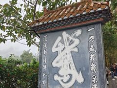 -靖西鹅泉风景区