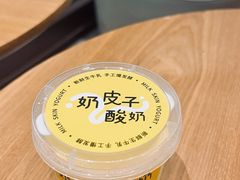 -乍甸乳业鲜奶吧(红河水乡店)