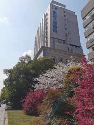 -杭州复旦儿童医院·语言发育迟缓·自闭症干预·注意力训练