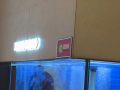 -老板恋上鱼(恒隆广场店)