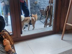 -BE YOLO必有乐&小红帽三明治