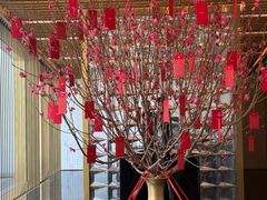 -尼依格罗香港美利酒店