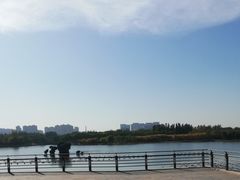 -大兴滨河森林公园