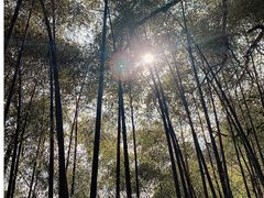 -西湖风景区十里琅珰-五云山