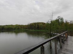 -昆山城市生态森林公园