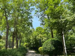 -阳台山自然风景区