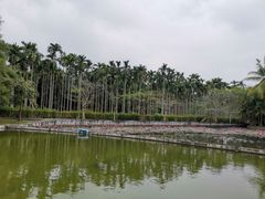 -红色娘子军纪念园