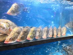 -盒马鲜生(曜一城店)
