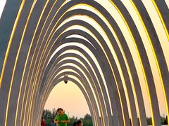 -大兴滨河森林公园