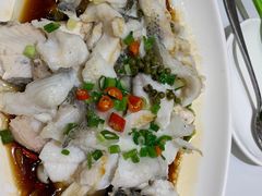 -紫光园·烤鸭(吕家营店)