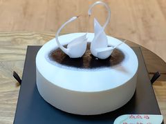 -BLACKSWAN黑天鹅(环球店)