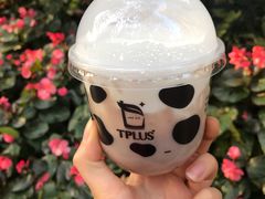 -TPLUS茶家(淮海店)