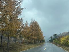 -苏木山森林公园