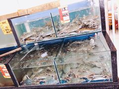 -渔民船说·北塘海鲜·天津菜·海肠捞饭(北塘古镇店)