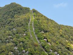 -梧桐山风景名胜区