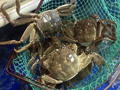 -阳澄湖大闸蟹·琼灵阁牌品牌连锁(吴中总店)