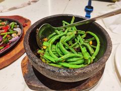 -青叶202都市餐厅(迪诺水镇店)