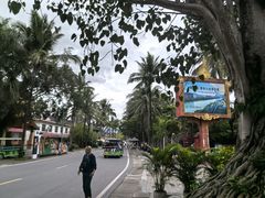 -西双版纳傣族园