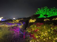 -亚龙湾国际玫瑰谷