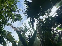 -碧桂园润杨溪谷温泉酒店