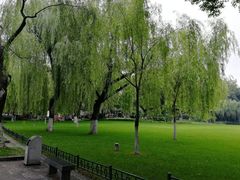 -柳浪闻莺公园