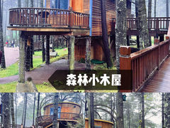 -洛阳白云山景区