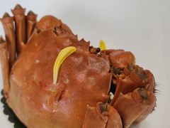 -九福楼大酒店