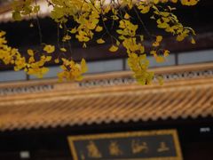 -圆通寺