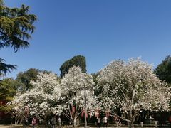 -北京市劳动人民文化宫(太庙)