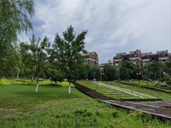 -西海子公园