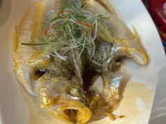 -路小缦·珍馐美馔(市心北路店)