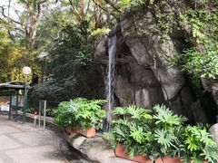 景点-九龙公园