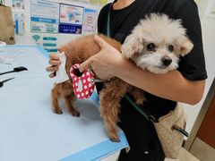 -美联众合动物医院·24h转诊中心