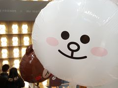-line friends(明洞旗舰店)