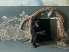 -无锡动物园·太湖欢乐园