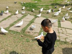 -秀丽东方