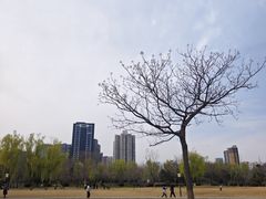 -咸阳湖景区