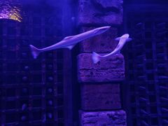 -波塞冬旅游度假区