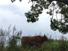 -许家山