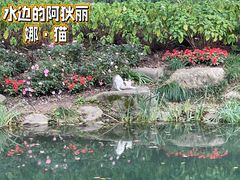 -徐家汇公园