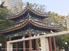 -西安大兴善寺