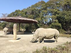 -宁波野生动物园