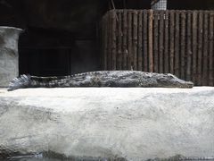 -武汉动物园
