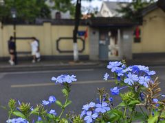 -颐和路民国时期公馆风貌区