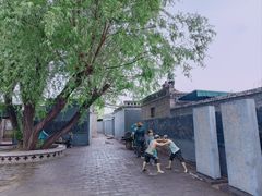 -白洋淀景区