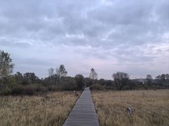 -塞罕坝国家级自然保护区