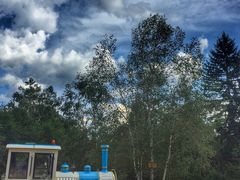 -五营红松林海景区