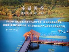 -溱湖国家湿地公园