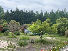 -东平国家森林公园