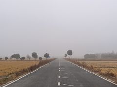-上海杨姆庄园